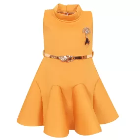 Baby Girls Party Wear Frock Dress fe2438ylw